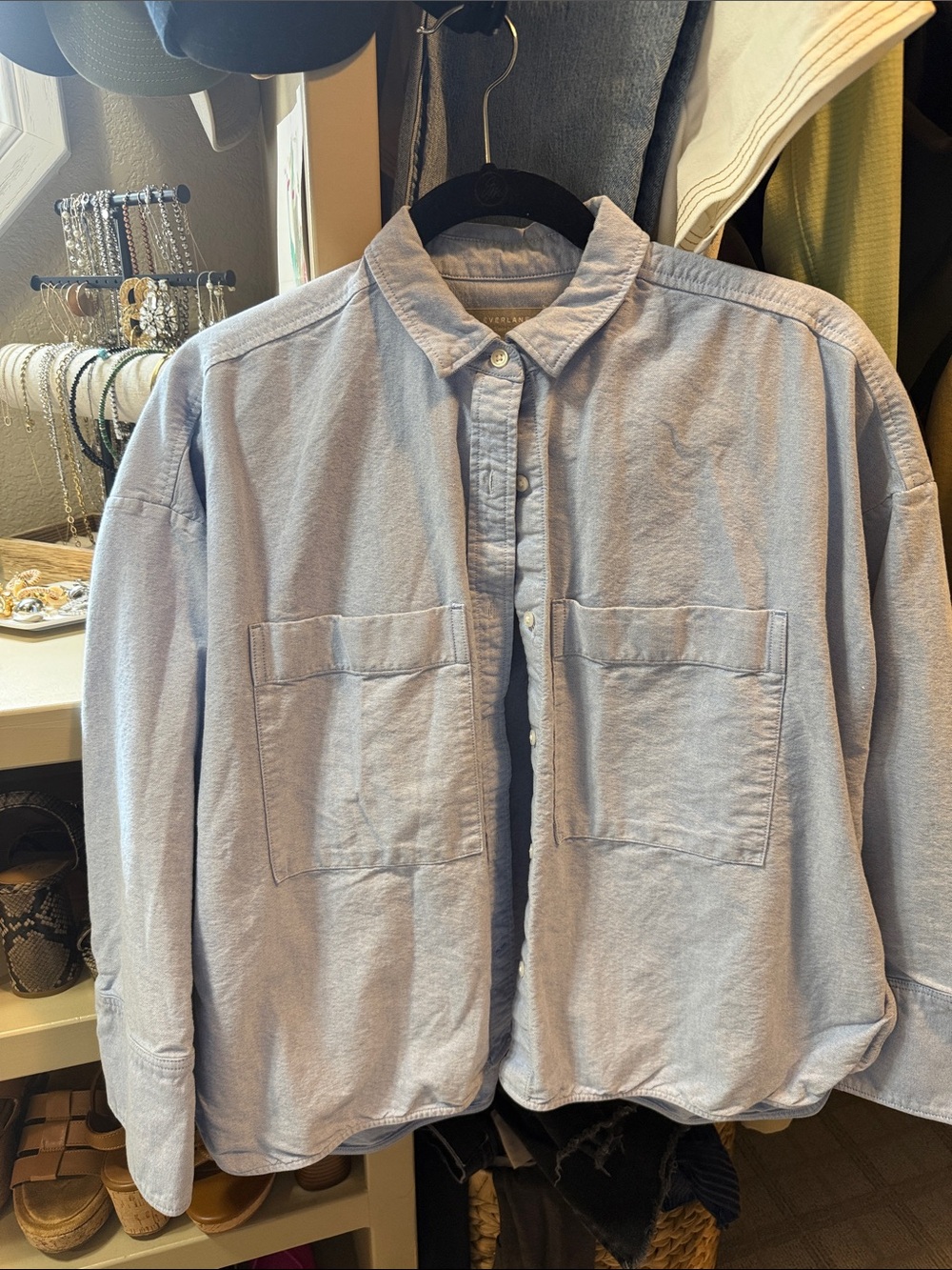 Everlane Light Blue Organic Cotton Button-Down Shirt